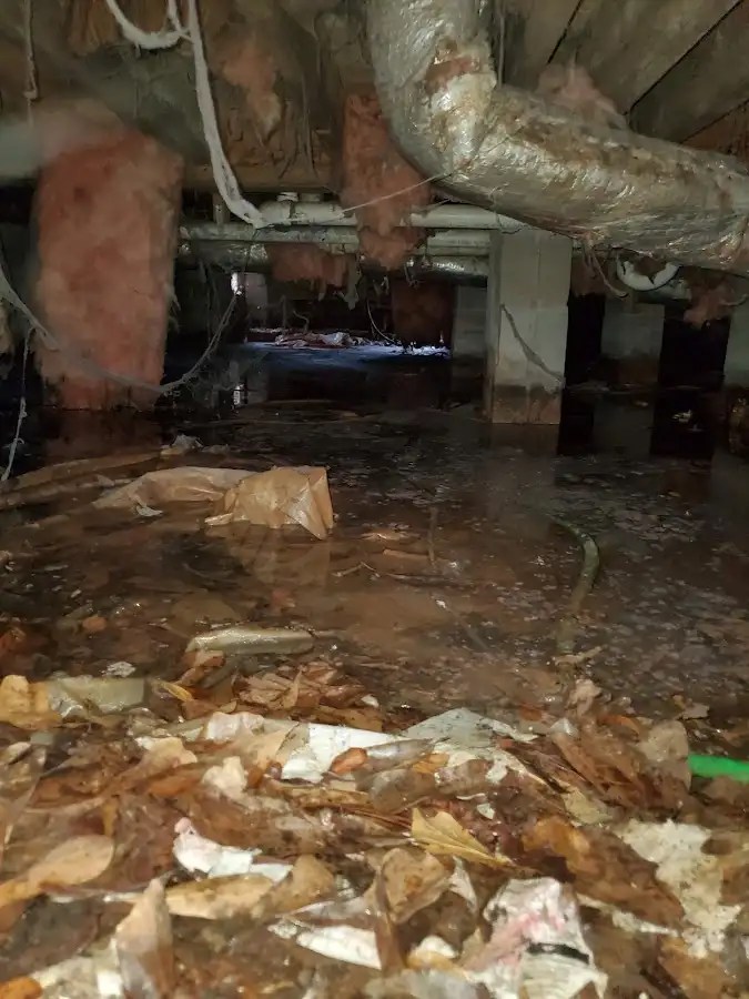 Crawl space flood assessment for Leak Detection & Repair in Mobile