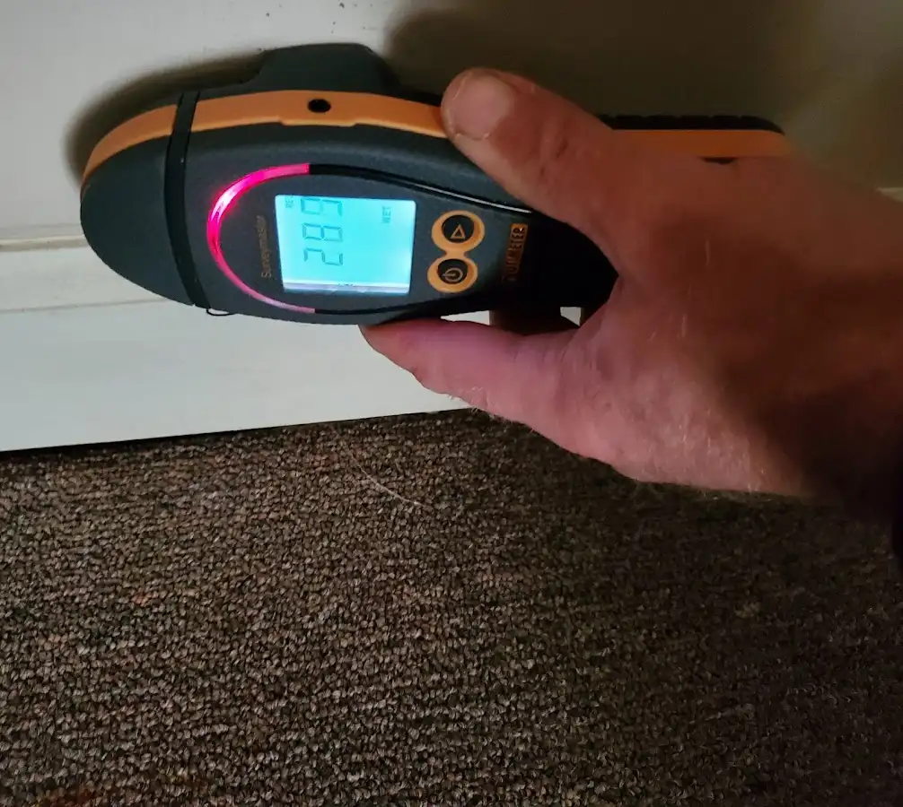 Moisture detection at baseboard during Sewage Cleanup & Sanitation in Mobile